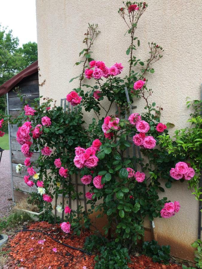 La Mimona Bed & Breakfast Sainte-Eulalie-en-Born Luaran gambar