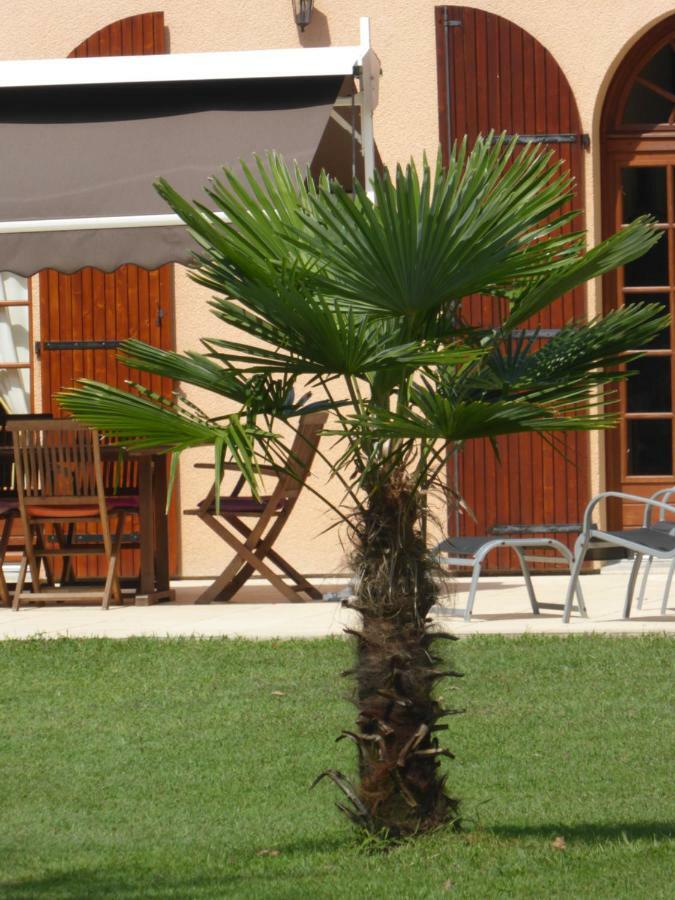 La Mimona Bed & Breakfast Sainte-Eulalie-en-Born Luaran gambar