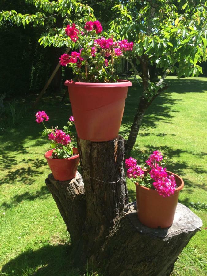 La Mimona Bed & Breakfast Sainte-Eulalie-en-Born Luaran gambar