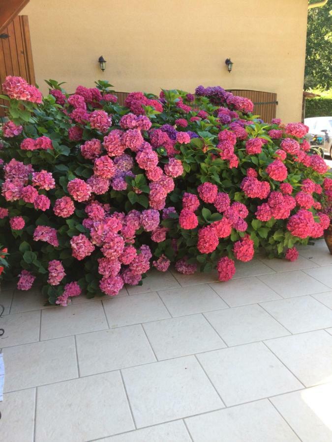 La Mimona Bed & Breakfast Sainte-Eulalie-en-Born Luaran gambar